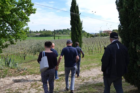 Tour image 5
