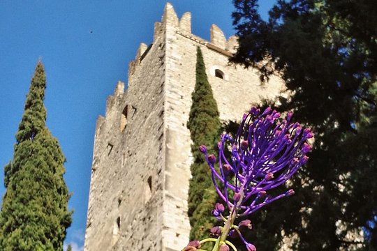 Tour image 10